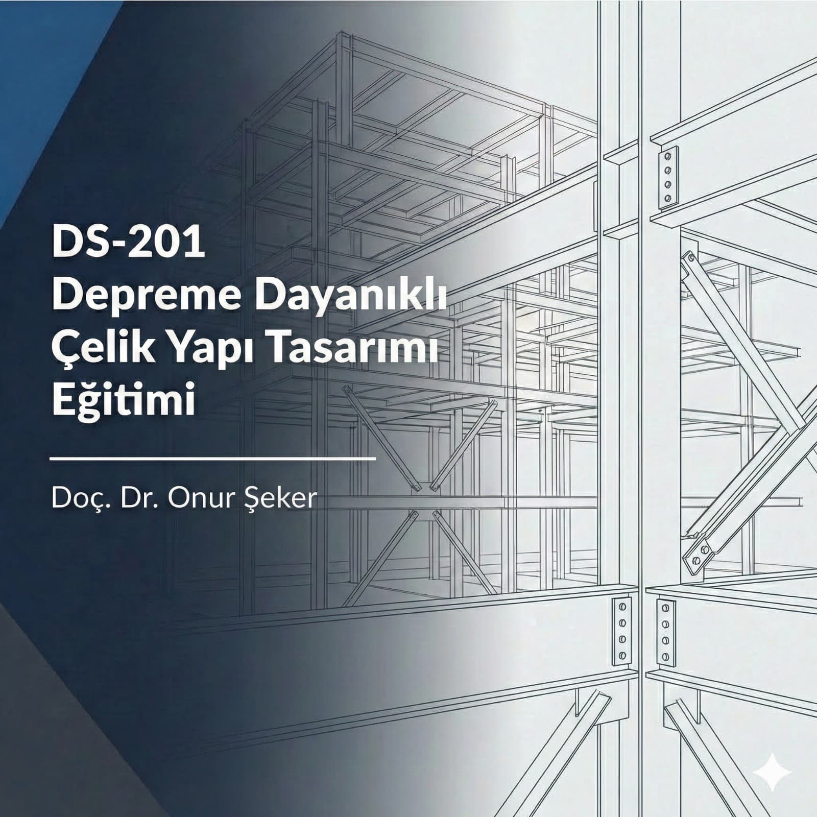 DS-201 DD ÇELİK YAPI TASARIMI